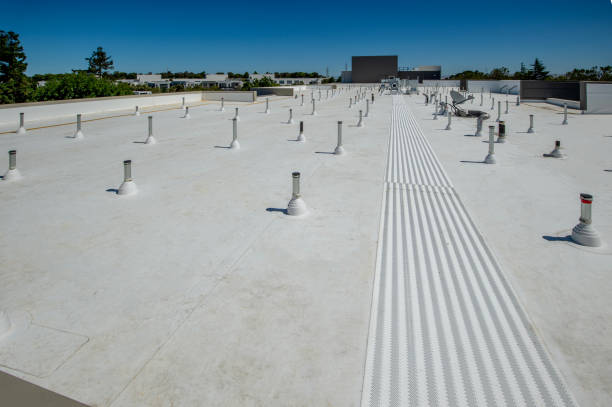 Best Roof Moss and Algae Removal  in Shelter Island Heights, NY
